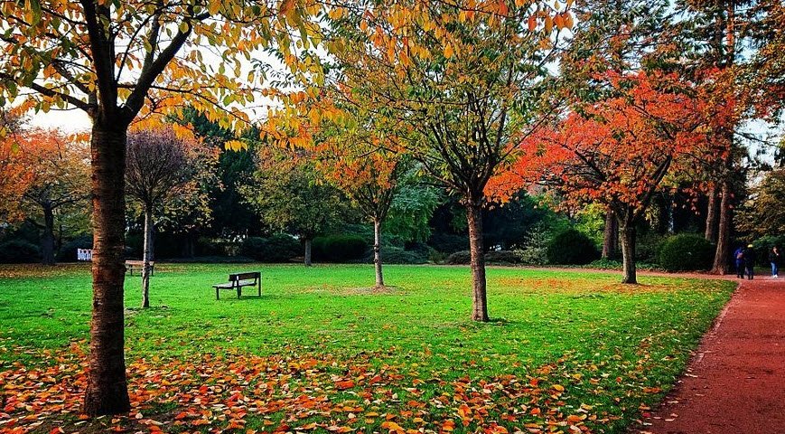 Bunter Garten, Mönchengladbach, Germany, Germany